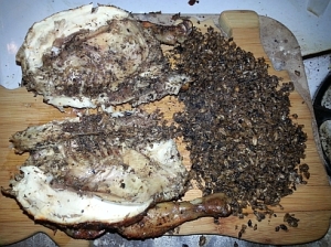 Game Hen Split with Grains Removed