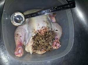 Game Hen Stuffed with Spent Grains